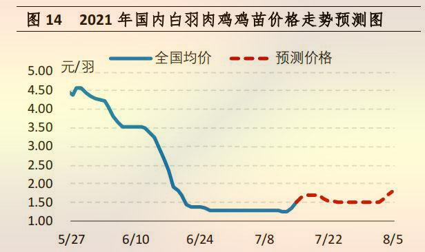 今日白羽鸡最新价格及小巷深处的鸡香探秘