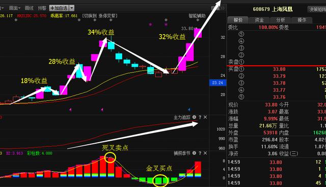 探索自然美景之旅，最新关于代码000997新大陆的惊人消息