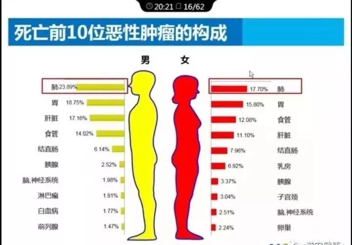 阴滋病最新动态揭秘，小巷深处的隐藏瑰宝揭晓（2017最新消息）