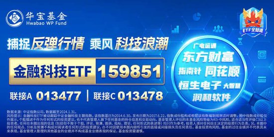 2024澳门最精准正版免费大全,实地数据验证_未来科技版95.200