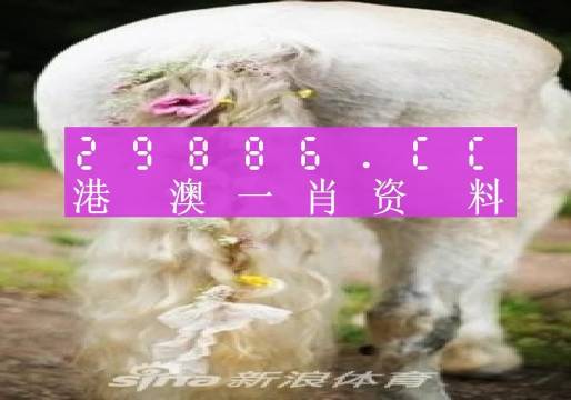 今晚必中一肖一码四不像,快速产出解决方案_未来版95.225