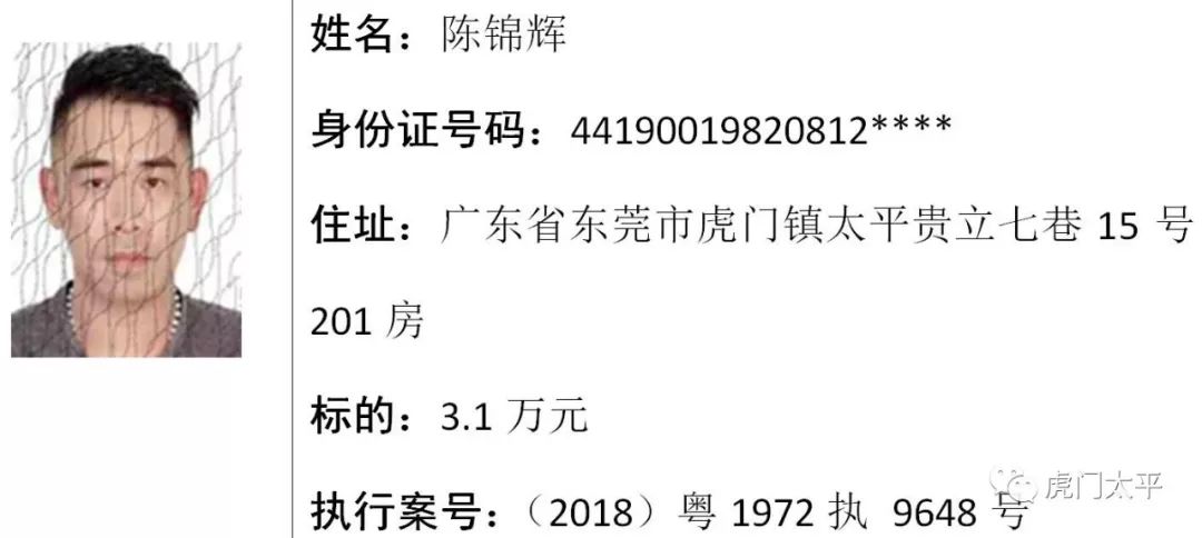 111153金光佛一字解特,实地观察解释定义_炼髓境95.419