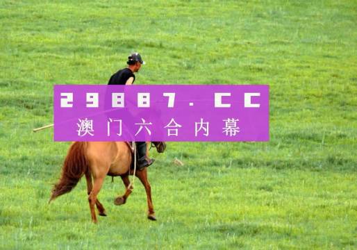 2024澳门特马今晚开奖49图,持续改进策略_珍藏版95.302