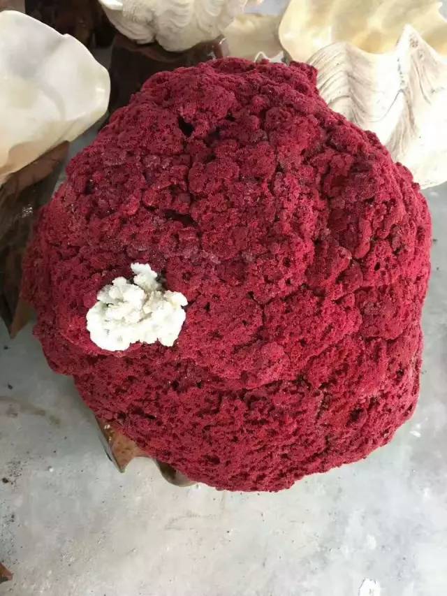 行业资讯 第184页