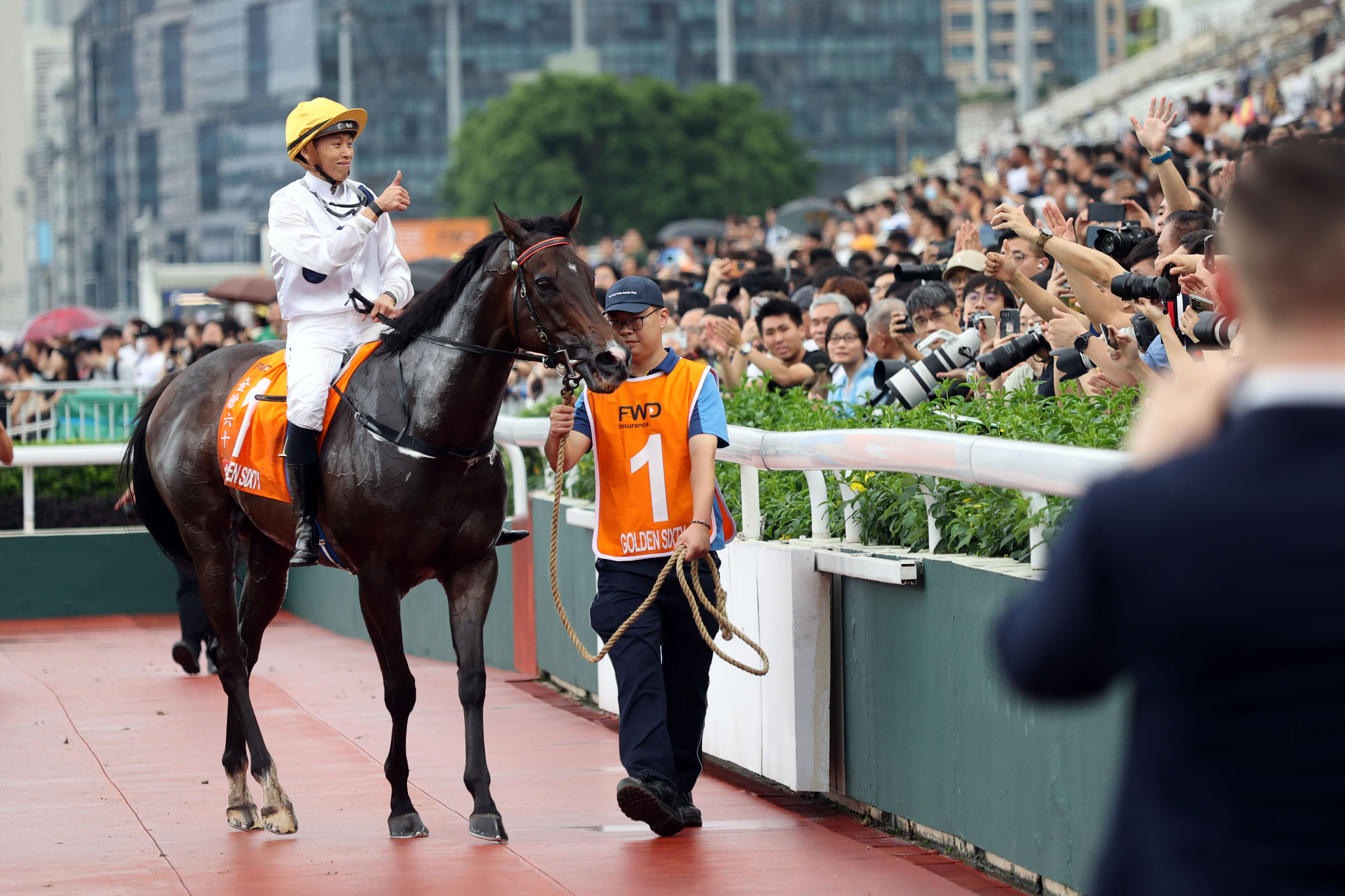 2024香港赛马全年免费资料,深入挖掘解释说明_旗舰设备版26.957