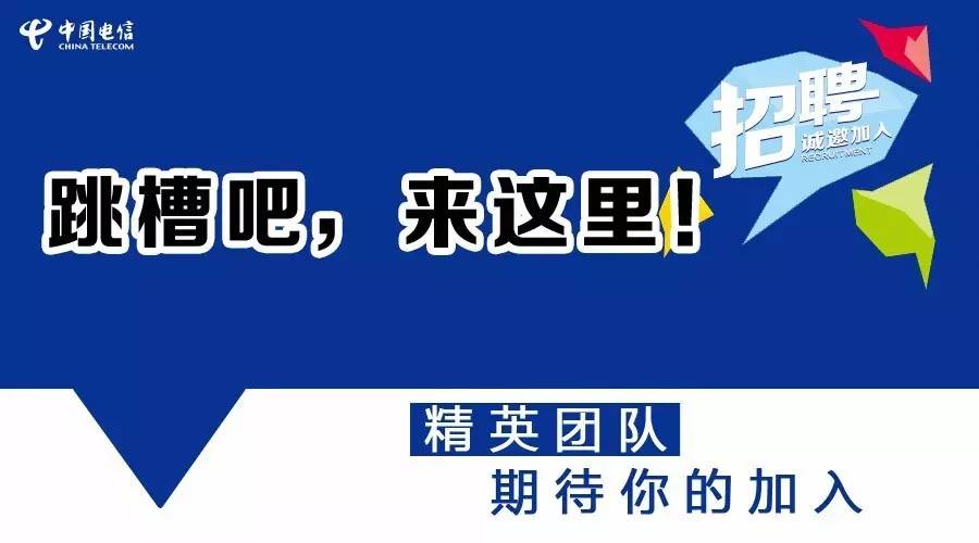 莘县最新所有招聘信息