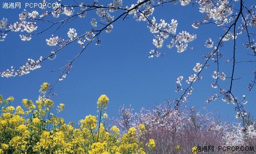 性春暖花开最新地