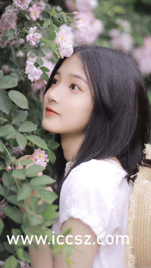 包玉婷玉米地最新章节速递