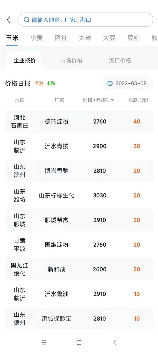 山东德州玉米价格动态，变化中的机遇与励志力量