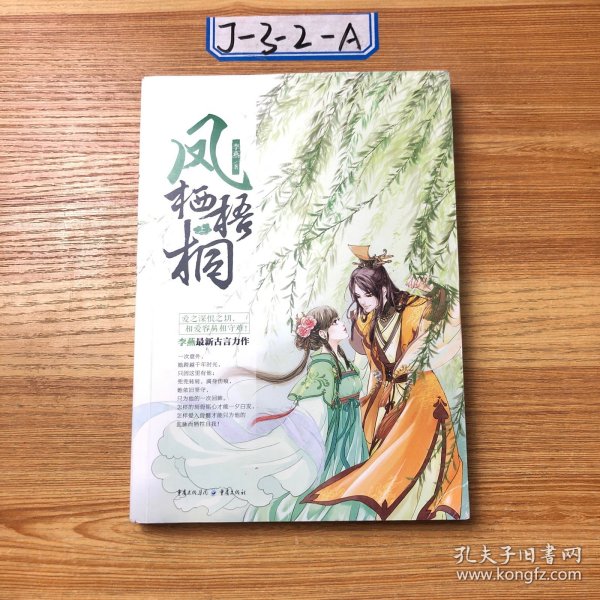 凤栖梧桐李燕最新番外，多维度视角下的深度解读